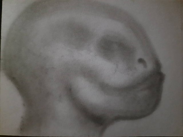 20250529_105053.jpg