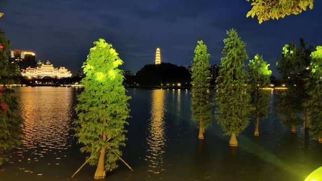 顺峰山公园夜幕来临5.jpg