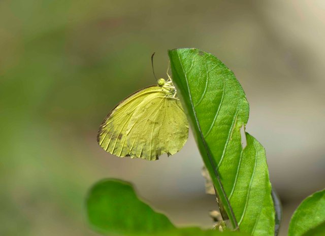 _AHW4092.jpg
