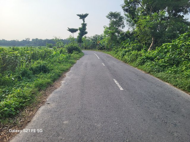 20250719_170827.jpg