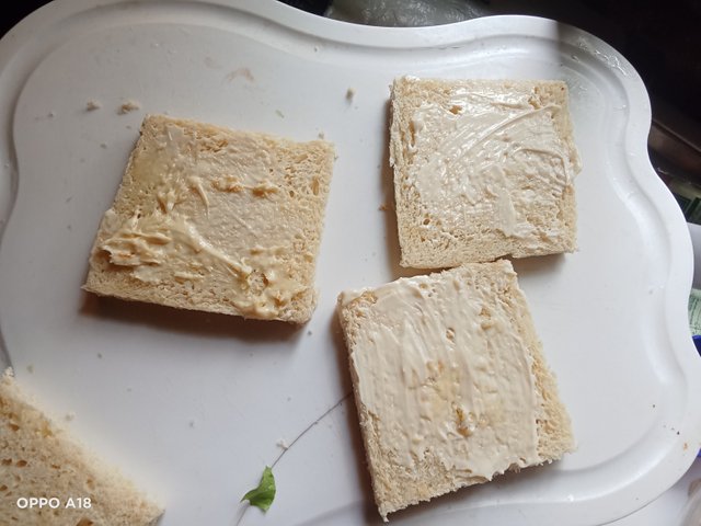 IMG20250822101017.jpg