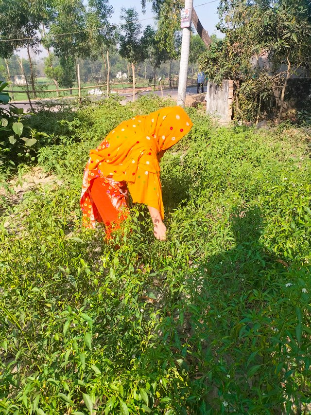 IMG20240310083147.jpg