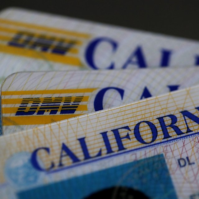 california-driver-licenses.jpg