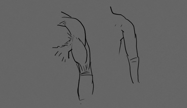 upper arm (3).png