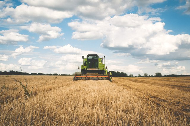 agriculture-cereal-clouds-175389.jpg