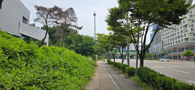 KakaoTalk_20250801_022604629_04.jpg