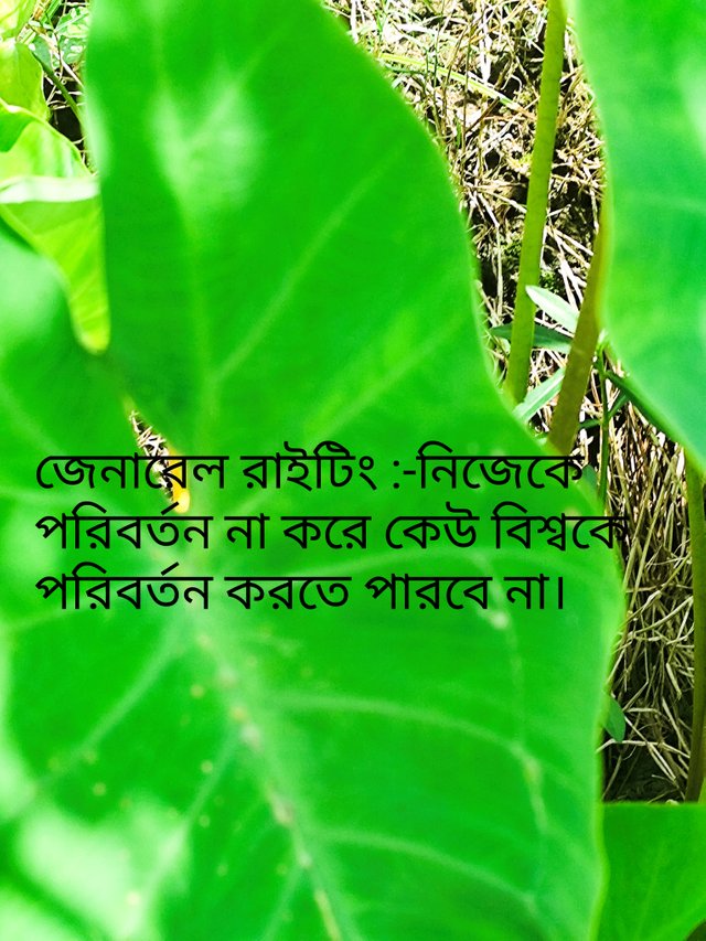 IMG_20250819_211651.jpg