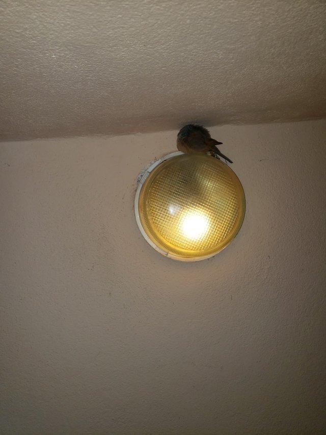 20250324_003531.jpg