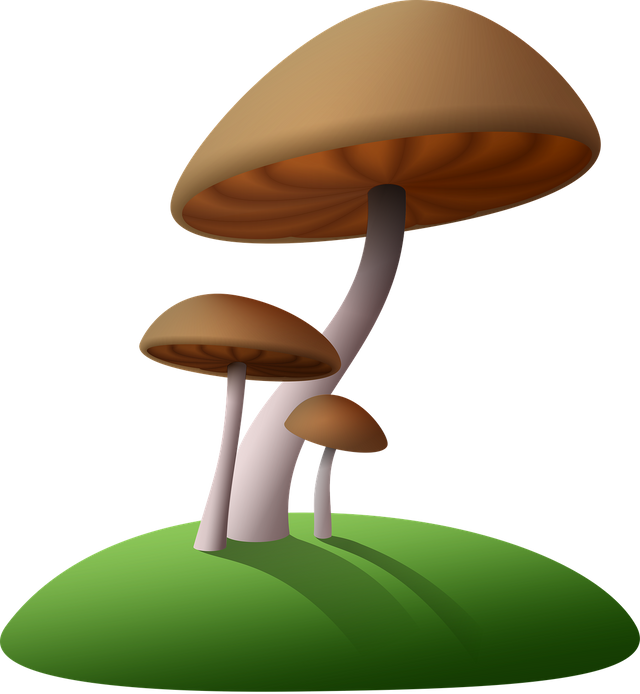 mushrooms-1662959_1280.png
