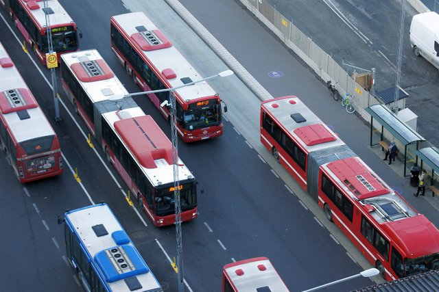 097 Busses.jpg