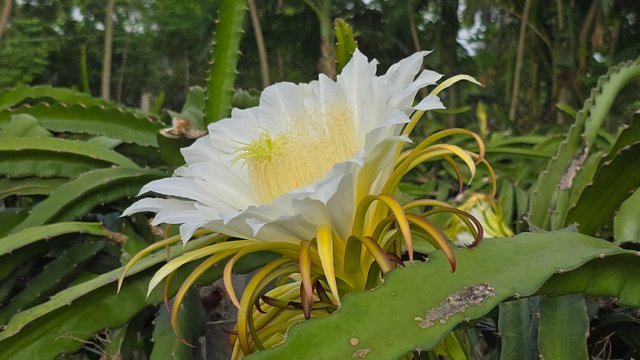 20240710_073615.jpg