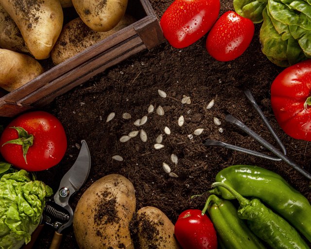 top-view-veggies-with-seeds-salad.jpg