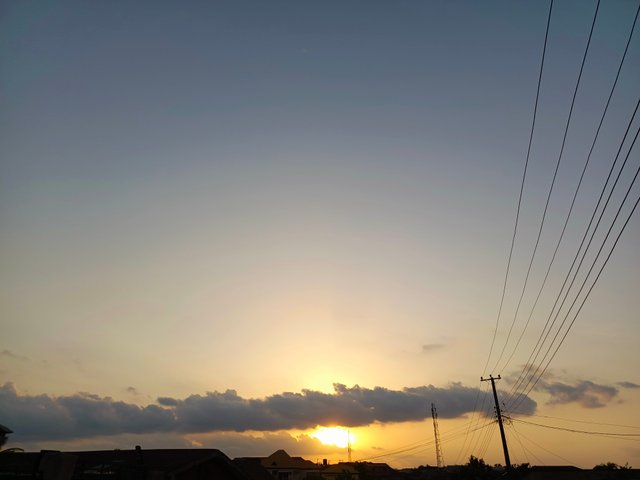 1000556084.jpg
