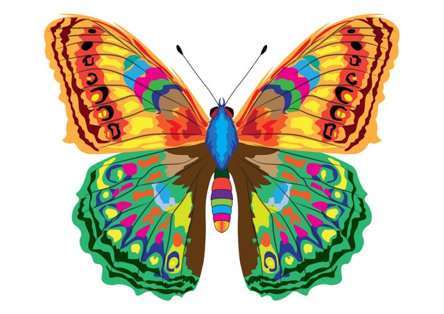 Premiam-Butterfly-Vector-NFT-Art.jpg