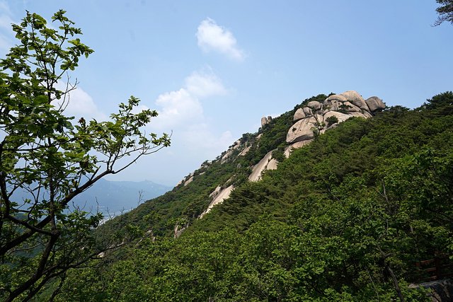 b-DSC02463.JPG