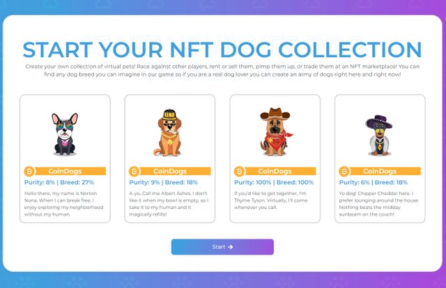 NFT DOG COLLECTION.jpg