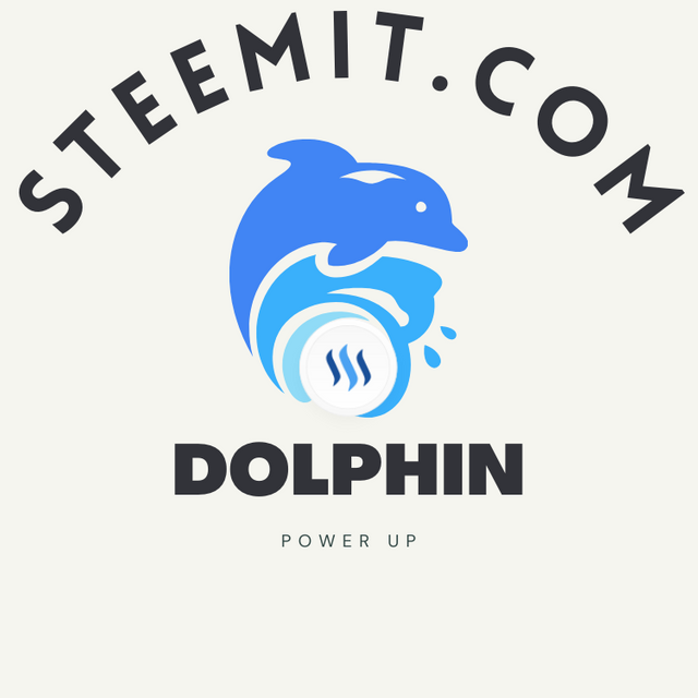 Blue Dolphin Water Splash Logo.png