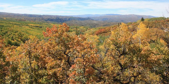 Fall-Colors-Colorado-Kebler-Pass44-1000x500-1536306197_680x0.jpg