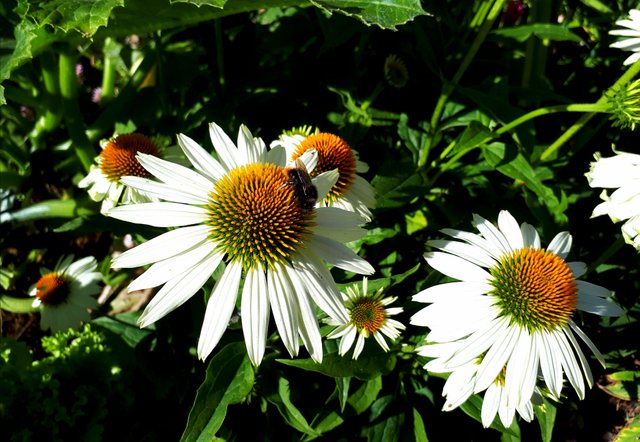 20180814_213940.jpg