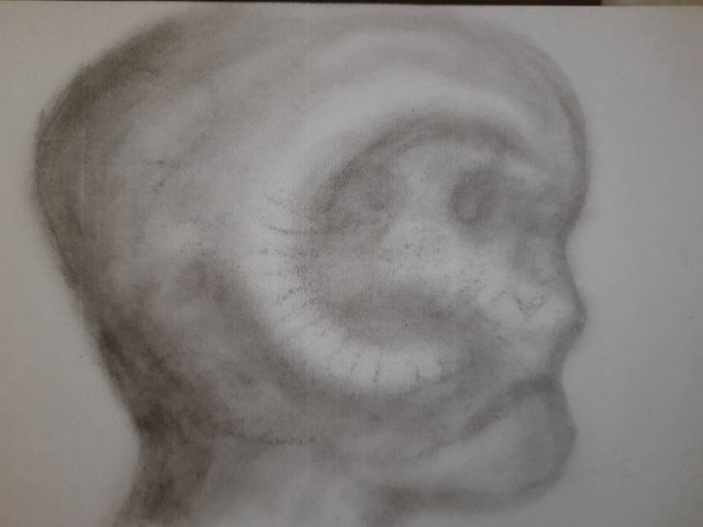20250629_092656.jpg