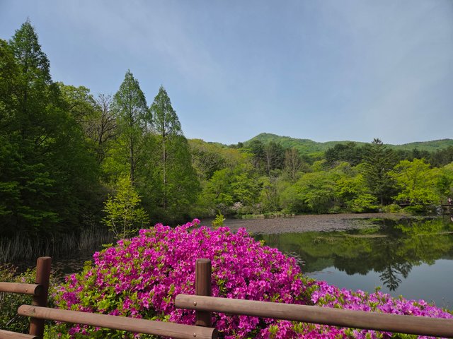 20250506_095236.jpg