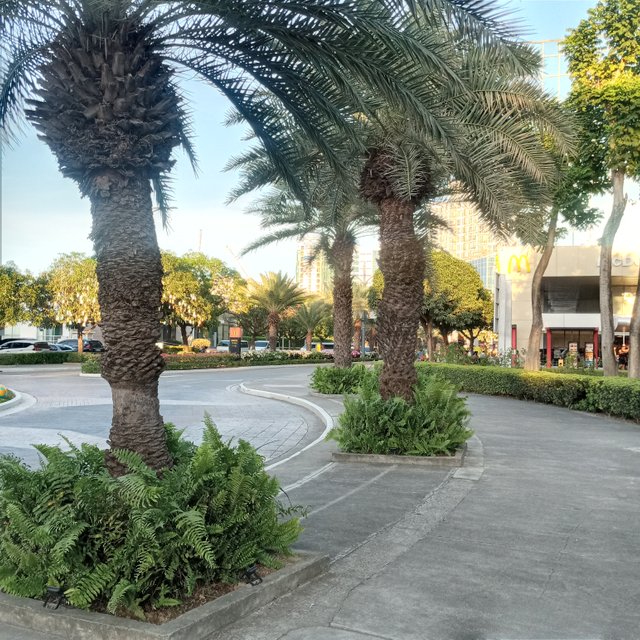 20250424_172805.jpg