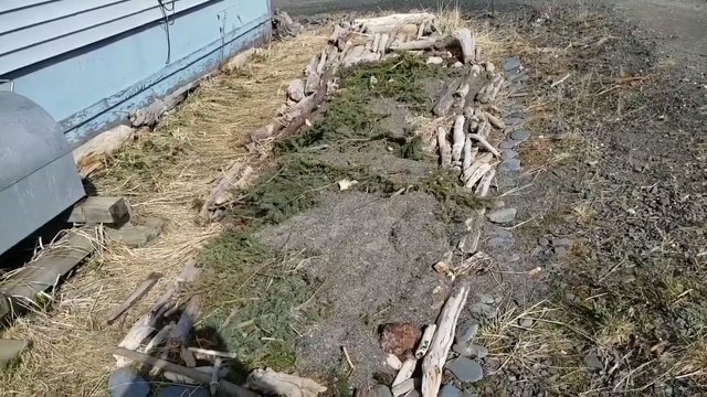 VideoCapture_20190519-144402.jpg