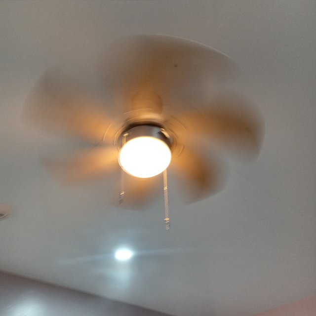 20250503_064555.jpg
