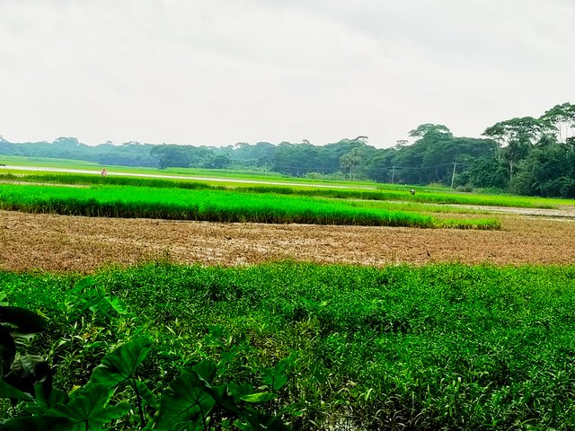 IMG_20250802_114440.jpg