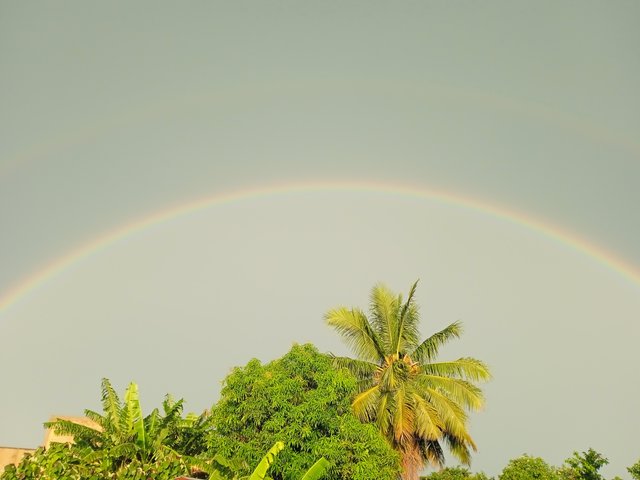 IMG_20251001_065936.jpg