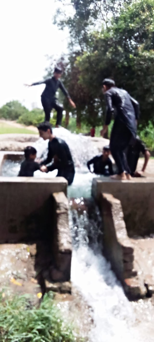 IMG-20240719-WA0055.jpg