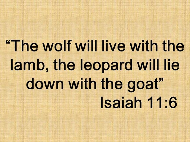 Bible and End Time prophecies. The wolf will live with the lamb, the leopard will lie down with the goat. Isaiah 11,6.jpg