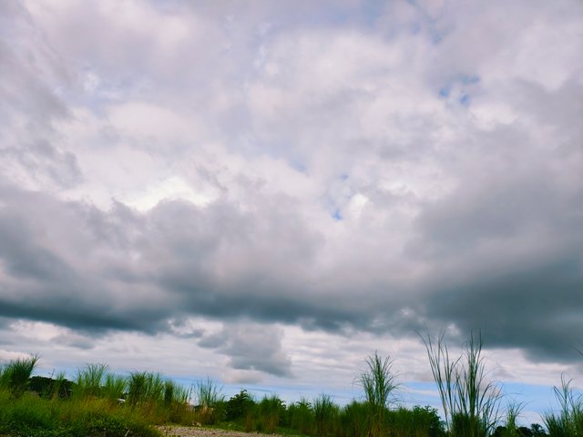 IMG_20250716_080728.jpg