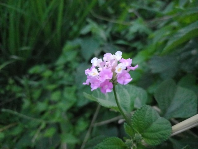 20251001_175817.jpg
