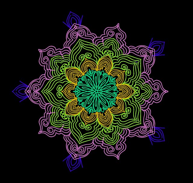 1000069411.jpg