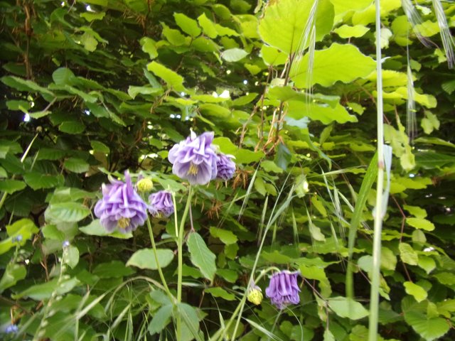 100_2661.JPG