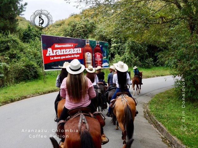 Colombian Horse Culture-2.jpg