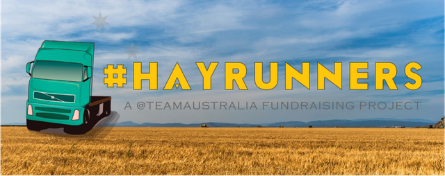 hayrunners banner2.png