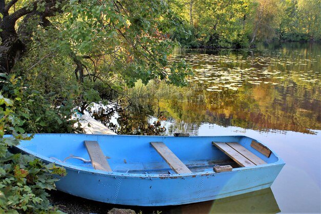 boat-moored-lake-by-trees_1048944-10366805.jpg