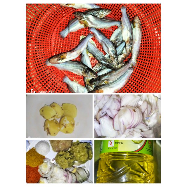 PhotoCollage_1752847381034.jpg