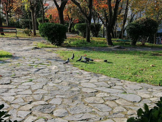 IMG-20211125-WA0010.jpg