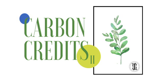 carbon_credits_medium2 (1).png