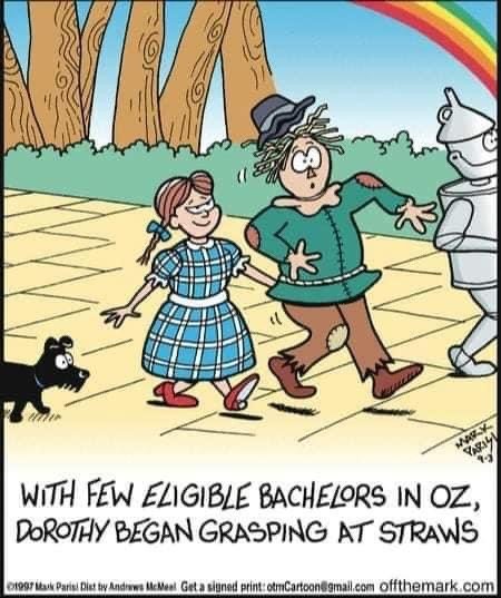 shoes Dorothy.JPG