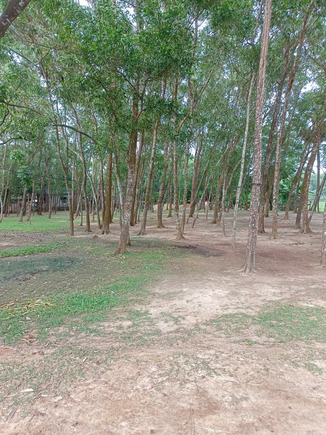 IMG20250506172119.jpg