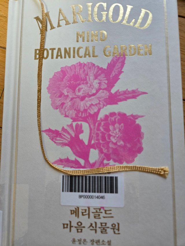 1000009691.jpg
