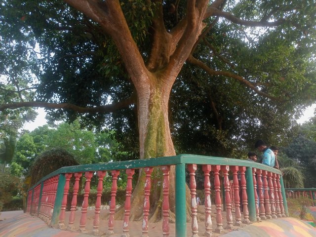 IMG20250402170936.jpg