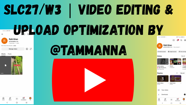 SC-S26W3 Video Editing; Introduction to Audio in CapCut..png