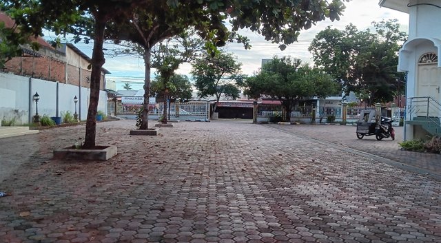 20240922_070319.jpg
