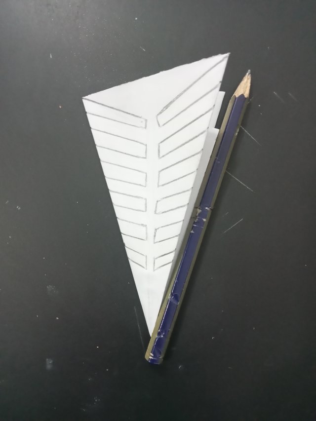 1000027530.jpg
