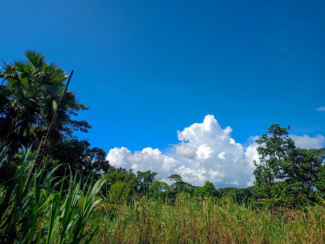 IMG20240909141907.jpg